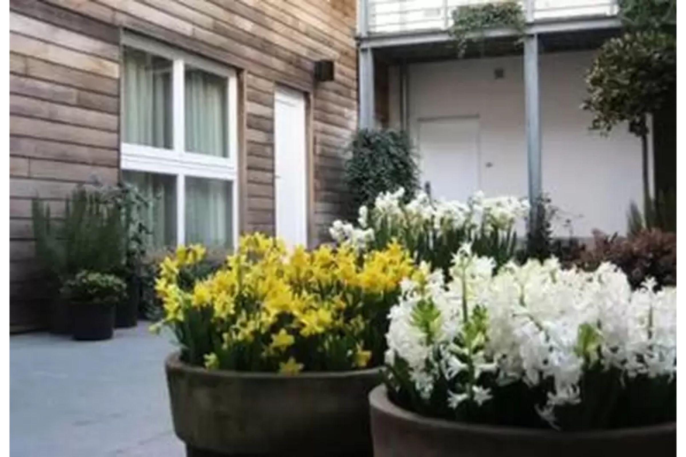 Hotel de Flandre Gent Eksteriør billede